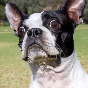 Meet your Posher, Matt